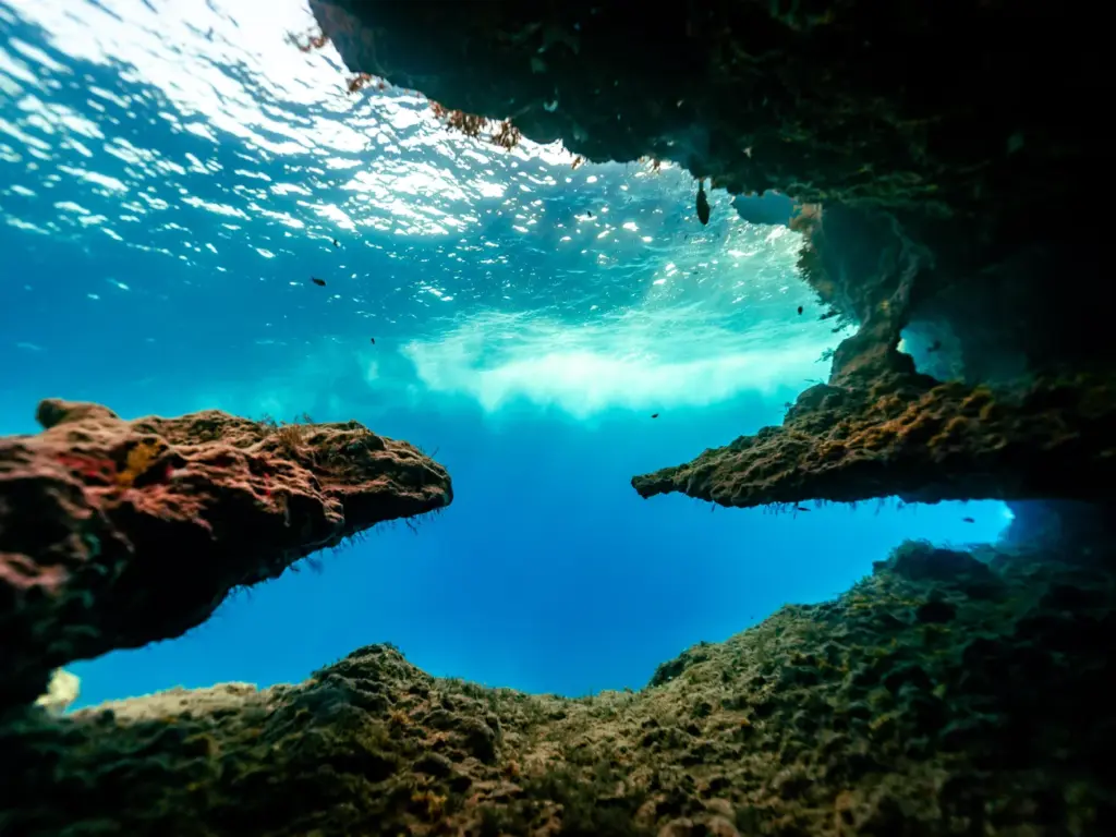 JZ6_2162.webp 2