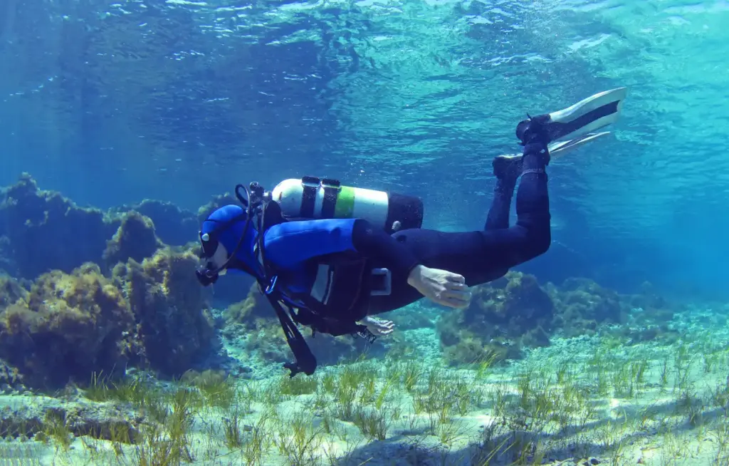 Diver gliding over a seagrass seabed in turquoise water